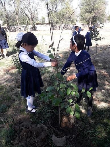 Табиғатты бағала, бар күшіңмен аяла!