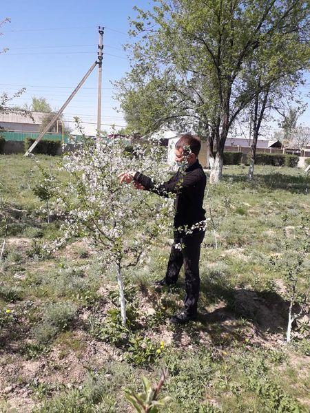 "Атаңнан мал қалғанша, тал қалсын"